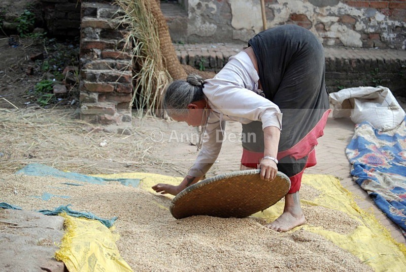 Working hard - Nepal