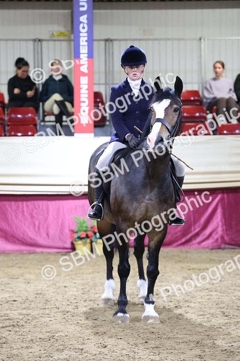 SBM_21404 - Class T - Working Veteran Champs