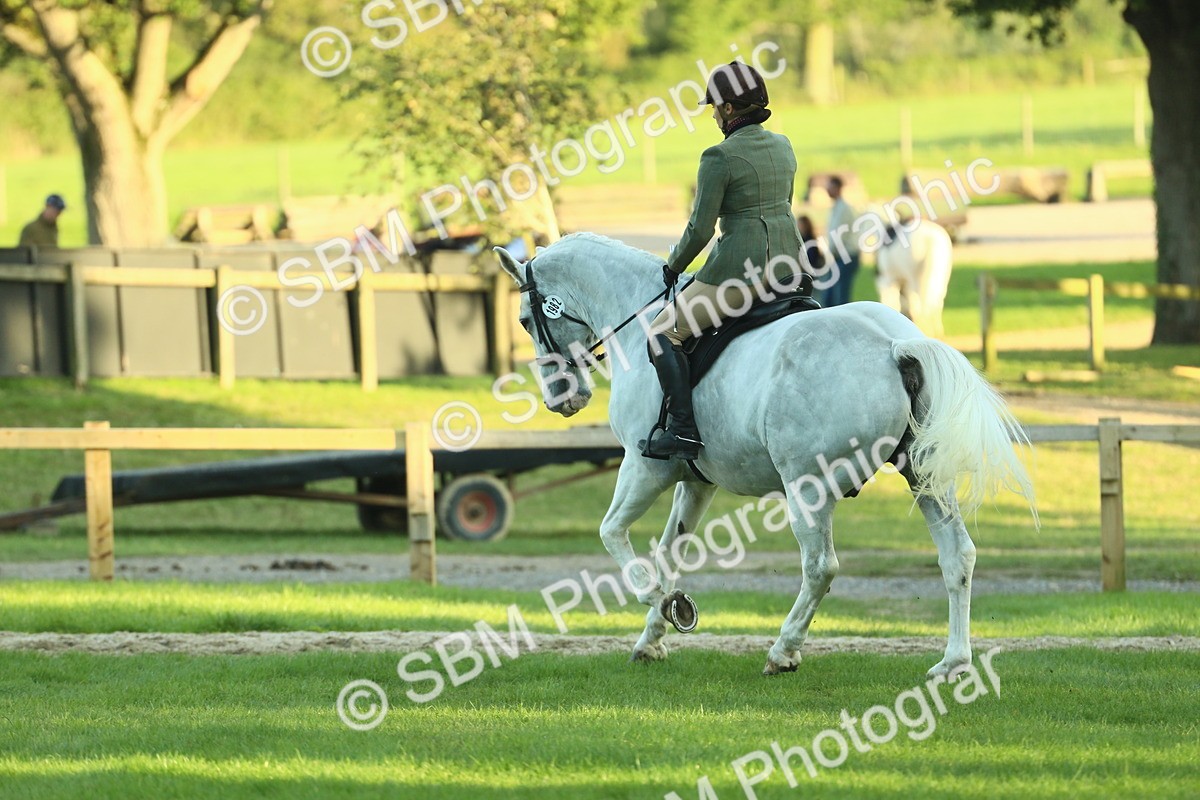 SBM_55567 - S14 - Riding Club Horse