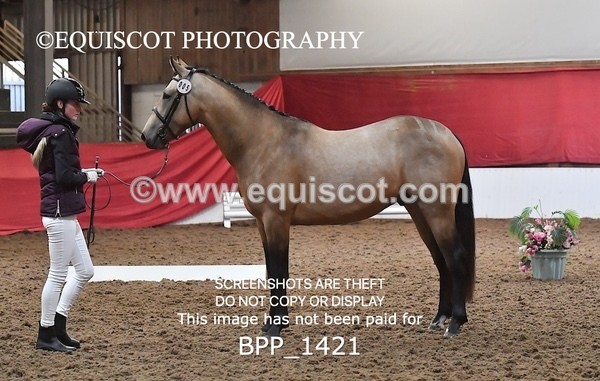 BPP_1421 - MORNING 9AM - 12PM