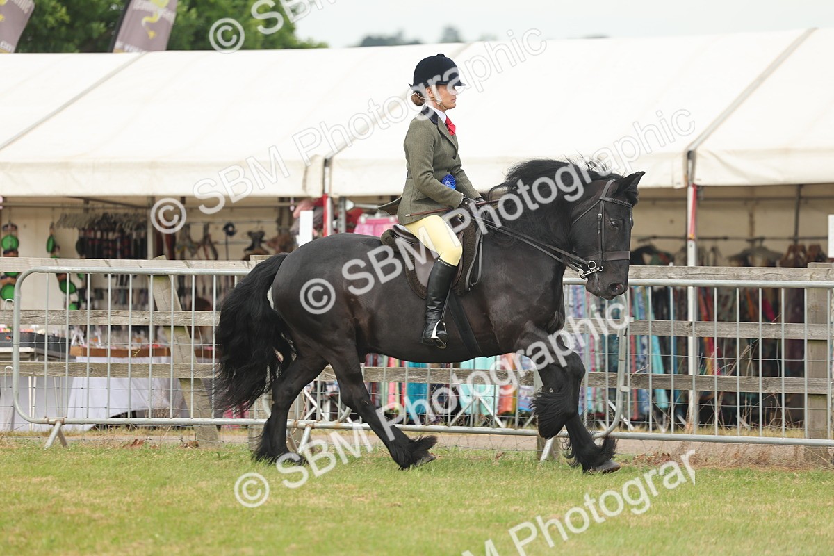 SBM_09113 - Class 78-80 - Ridden M&M Non Welsh Ponies