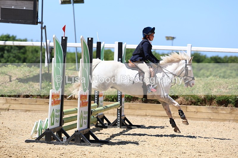 3E7A2345 - Class 4/5: 60cm Open Teams and Individuals