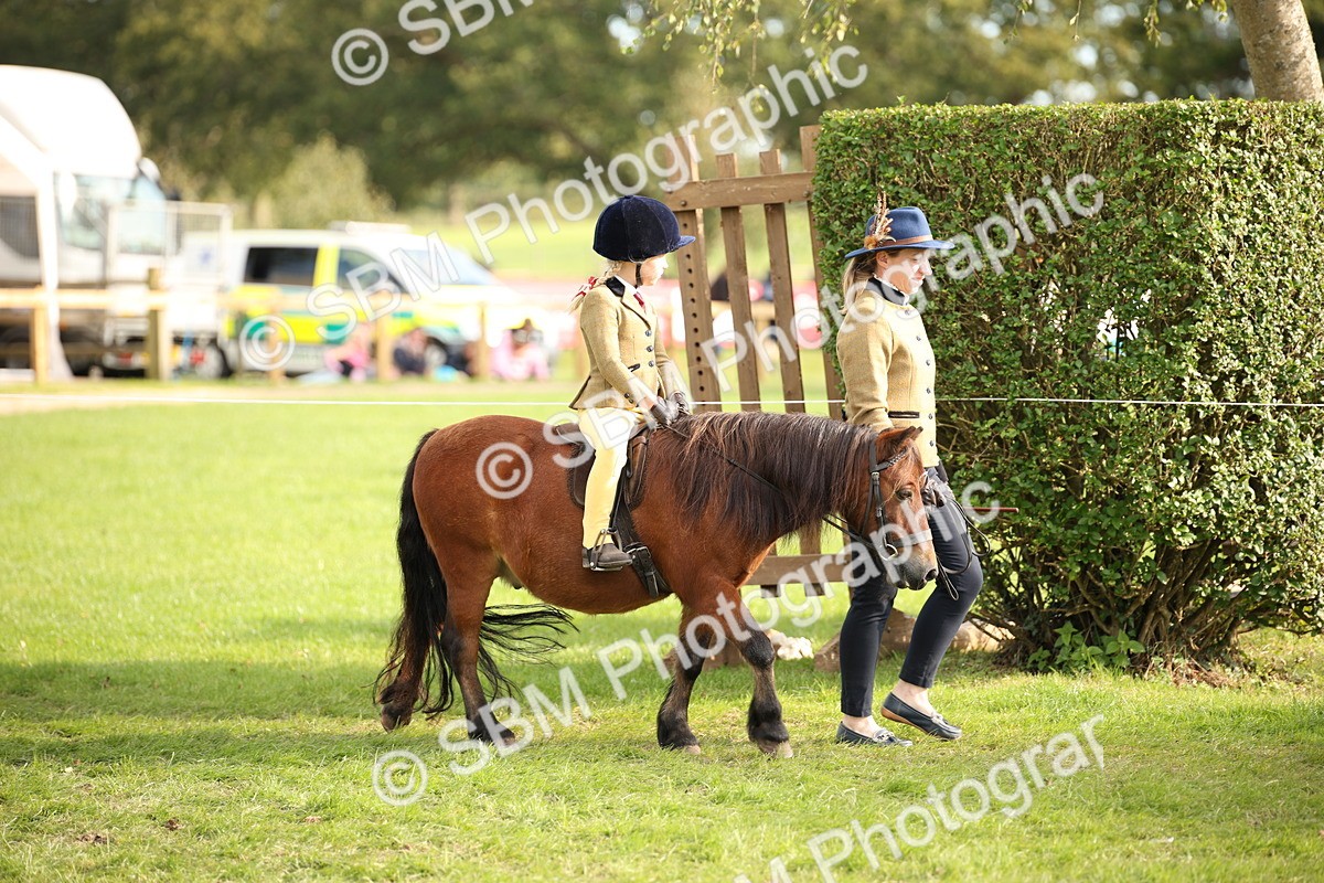 SBM_54235 - S27 - Mature Veteran - Ridden