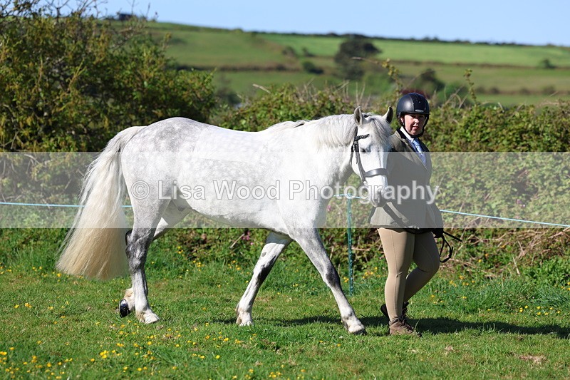 3E7A8502 - Class 13: M & M Large Breeds