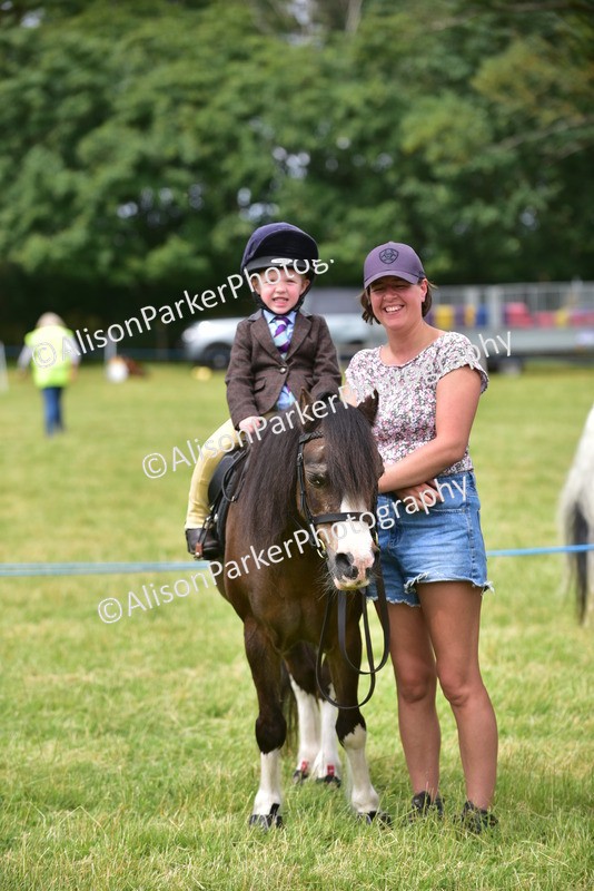 20260614-3720 - Class 15 - Prettiest Mare