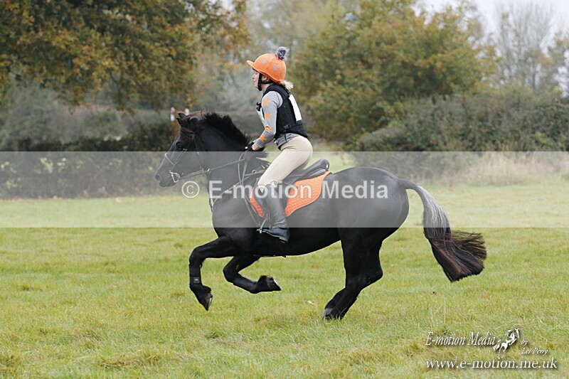 WWHT 181020 WWHT 181020 323 - WWEC Novice Restricted (0.80m) 18/10/20