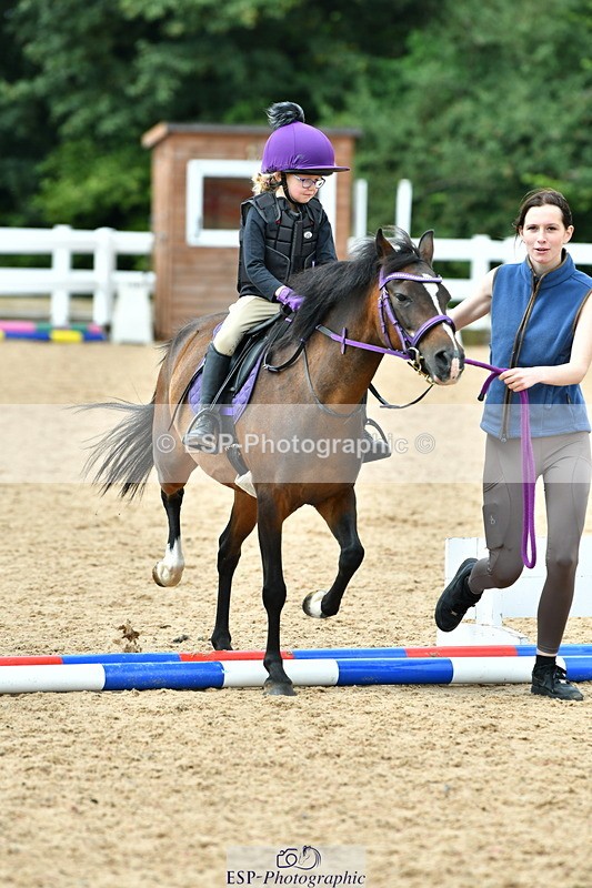 230804A-112932-02266 - Showjumping Competition
