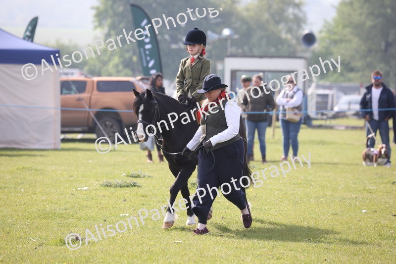 20260426-0351 - Class 30 - Tiny Tots Lead Rein