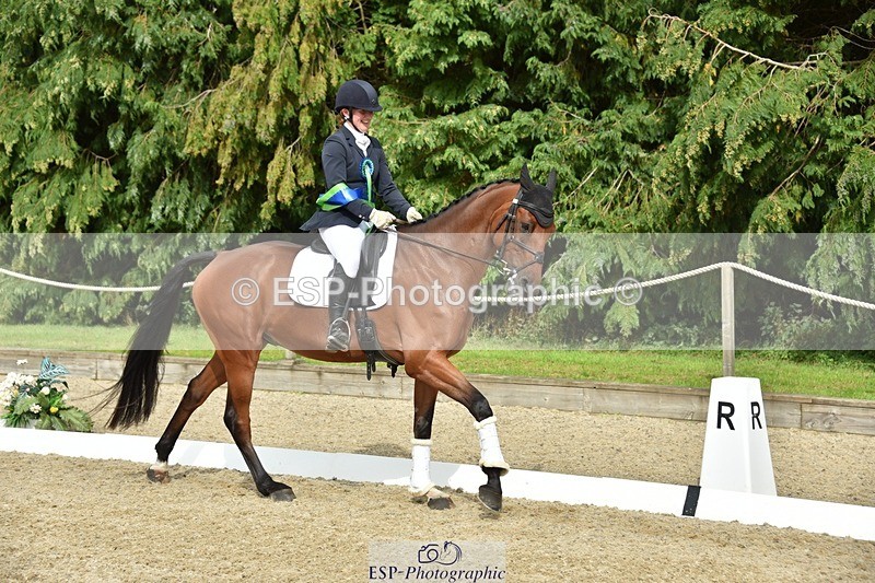 230812-160956-05456 - Novice Bronze Presentations