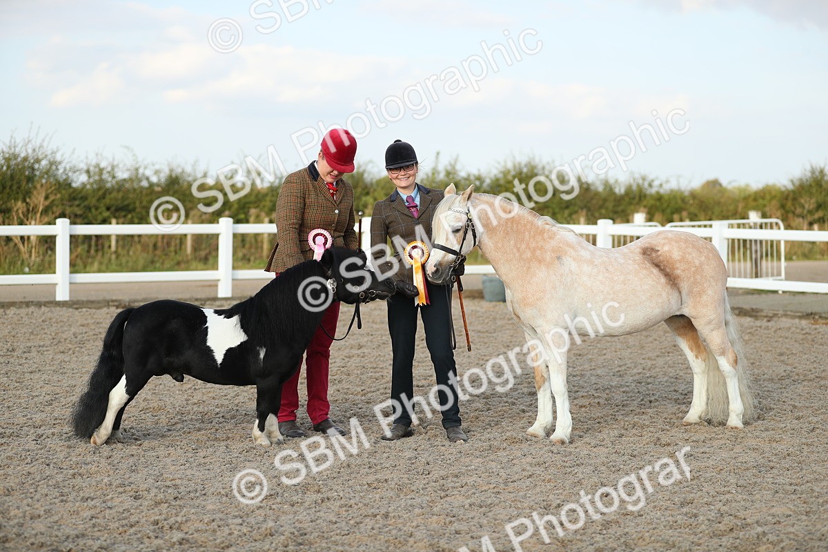 SBM_09134 - Class 29 IH Veteran Pony