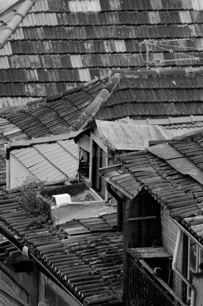 Roof textures - Porto Roof Tops