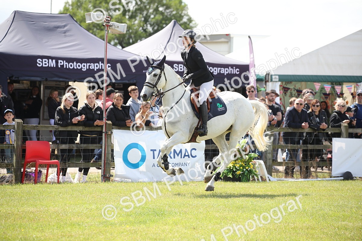 SBM_17387 - Class 208 - Senior Foxhunter 1.20m Open