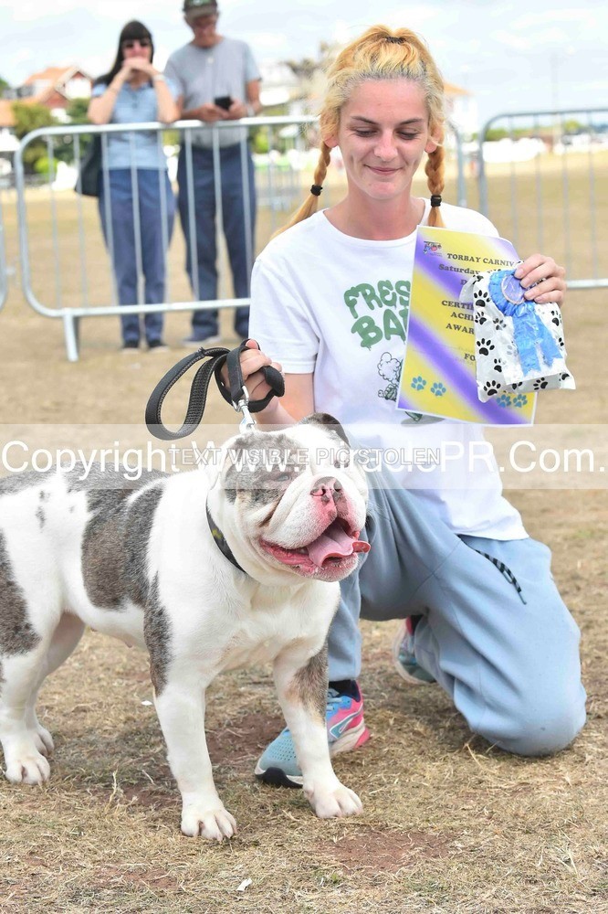 SH4_0204 - Dog show.
