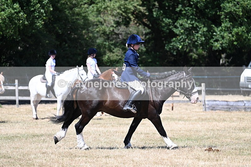 WJ7_3717 - Class 8 Ridden Veterans