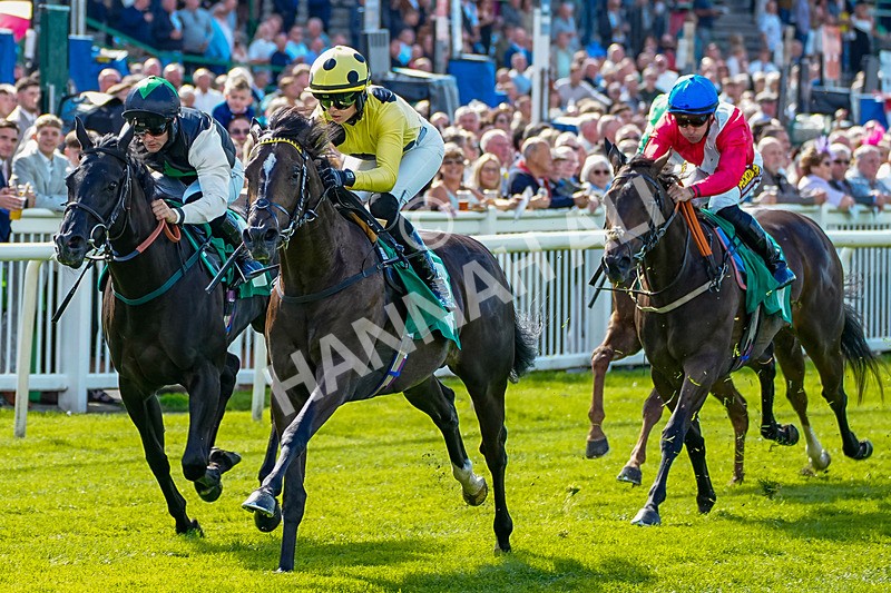 050926-Race 2-This Moment-3 - Race 2 2.05pm JW4X4 Northallerton Nursery Handicap