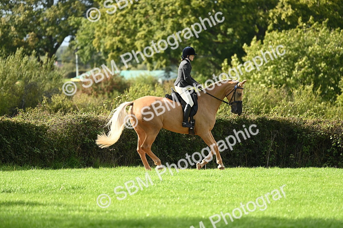 SBM_26409 - S6 - Novice & newcomer Ridden horse