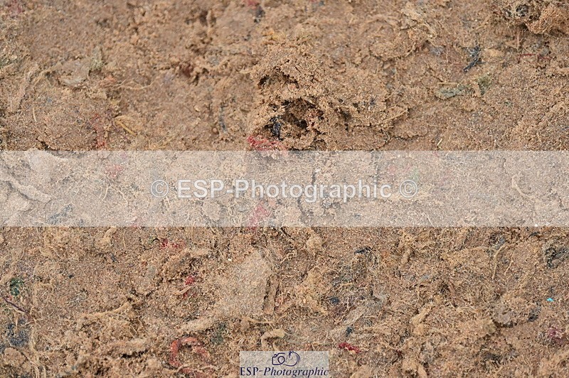 231013A-154040-03083 - Cls 5 1.15 Members Cup