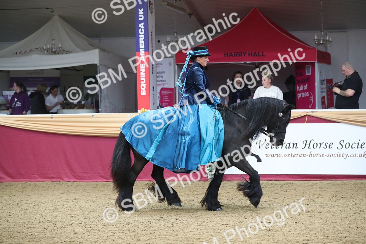 SBM_12115 - Class 107 Ridden Costume- Astride Adult (20+)