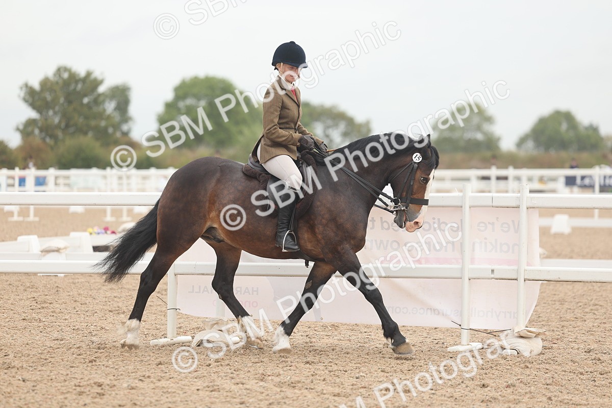 SBM_01877 - Class 14 - Ridden M&M Wildcard