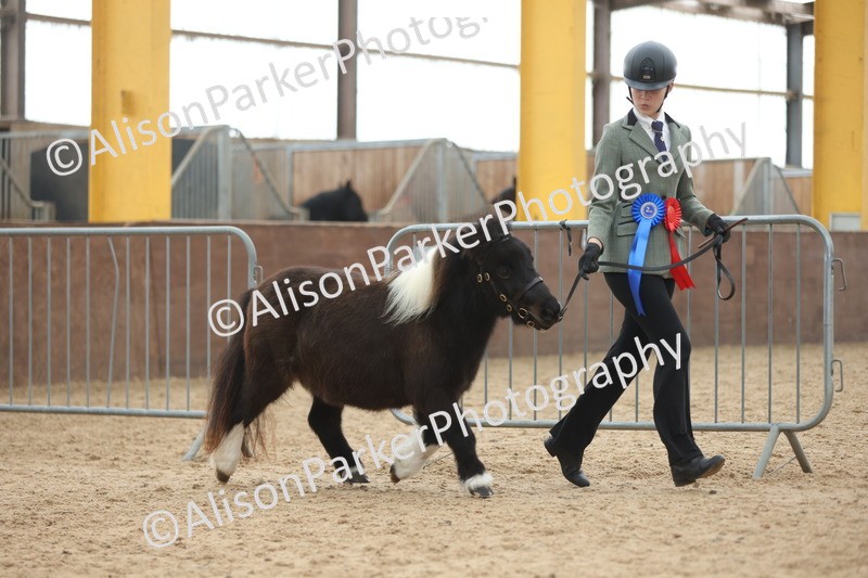 20251109-0448 - Championship