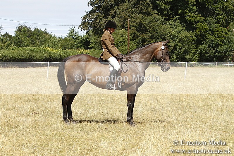 _BS_0830 - BVRC Show 2018 Ring 1