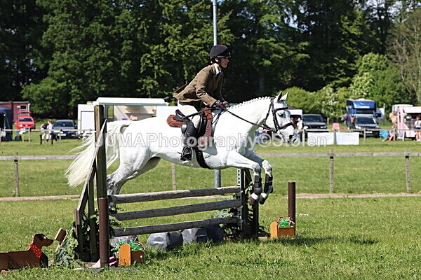 IMG_4511 - Working Hunter