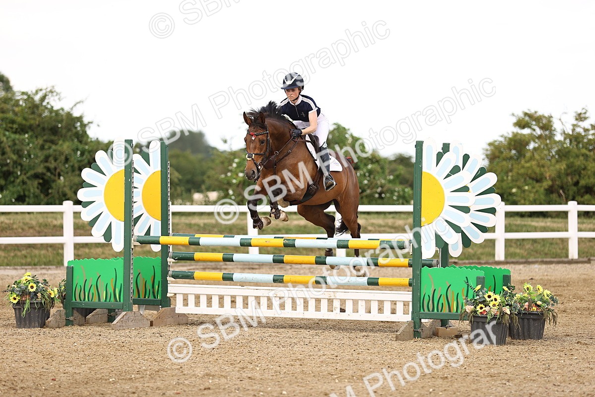 SBM_002580 - Class 19 - Nupafeed Supplements Senior Discovery - 1.00m