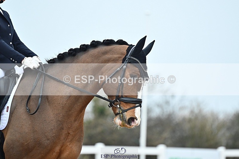 250214-141256-02141 - 128-Amy.Hose-Enrique