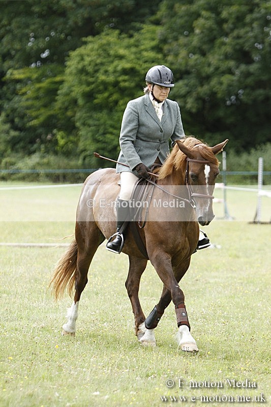 BVR160717-394 - Ring 3 BVRC Show 16/07/17