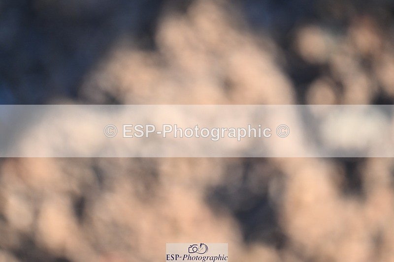 251203-112149-00340 - Cls 2 Discovery and 1m Open