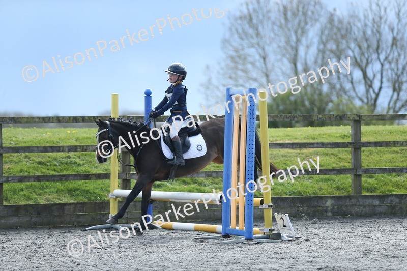 20260412-1802 - Show Jumping