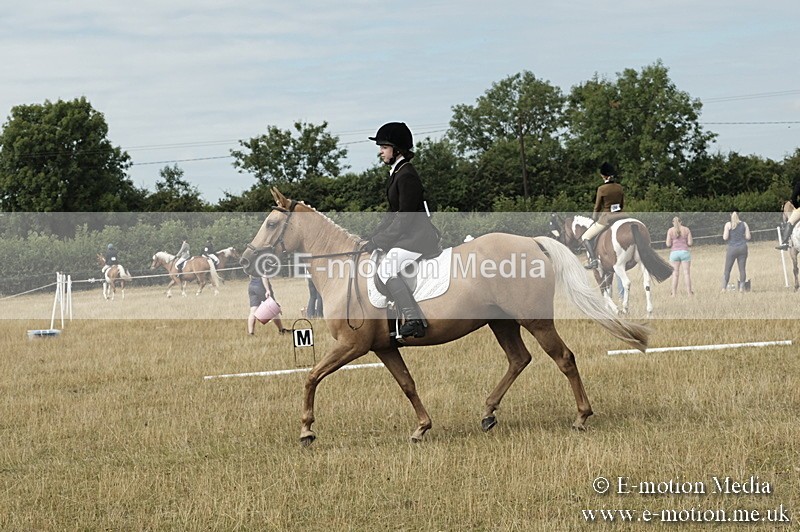_PJP5729 - Dressage Classes BVRC Show 2018