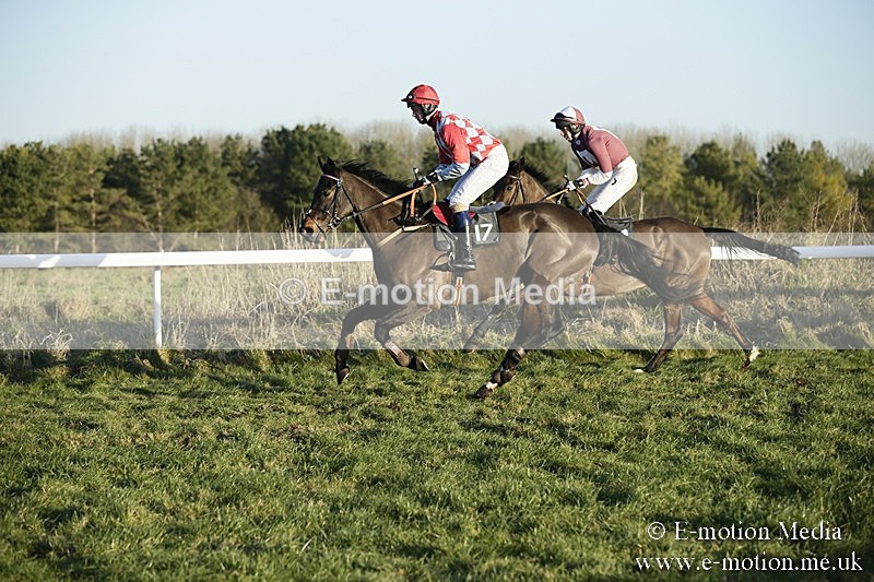 PtP 070118 -641 - Larkhill Racing Club Point to Point Larkhill 07/01/2018