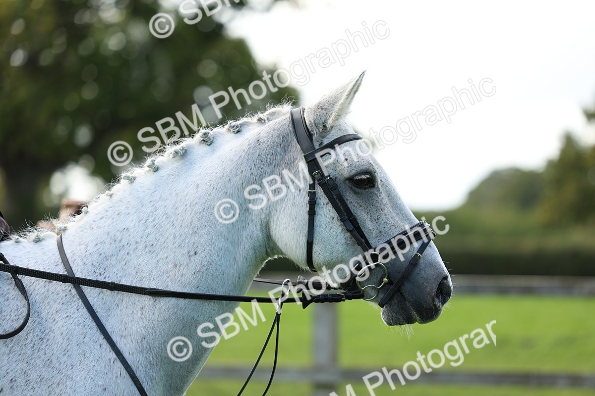 SBM_45524 - S33 - Working Hunter Pony