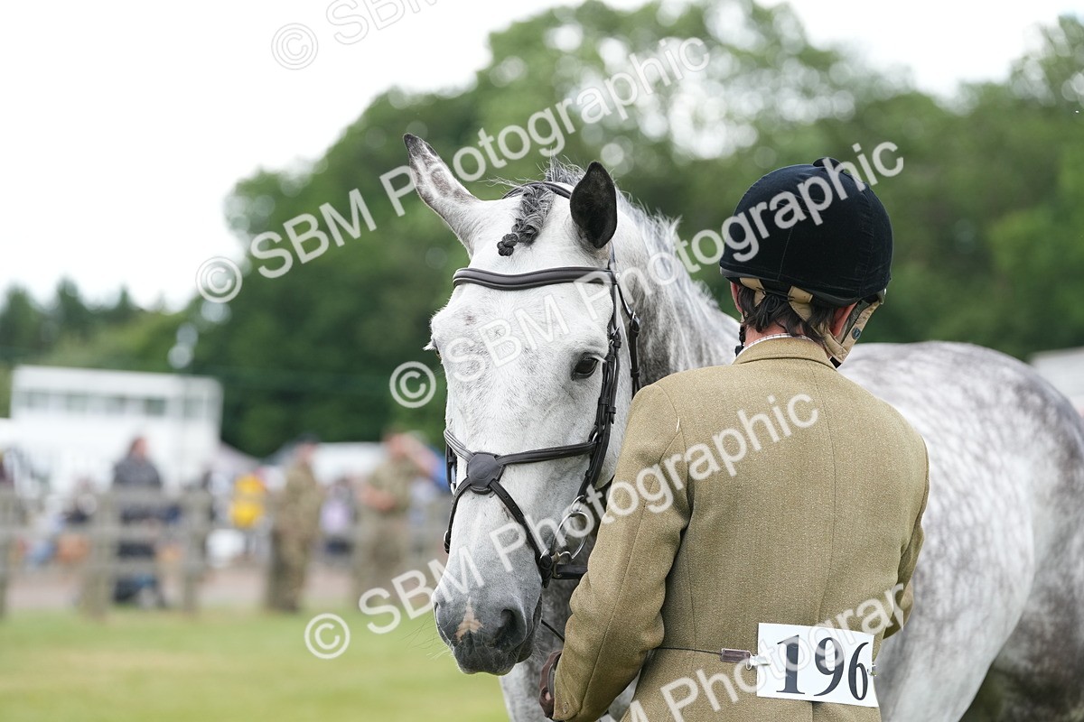 SBM_14891 - Class 100-102 - RIHS Working Hunter