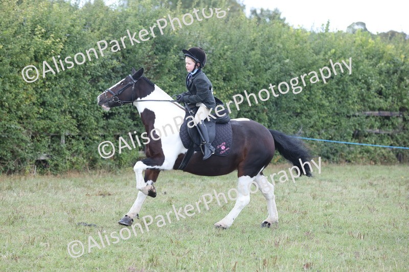 20250831-4278 - Class 20 - Ridden Coloured