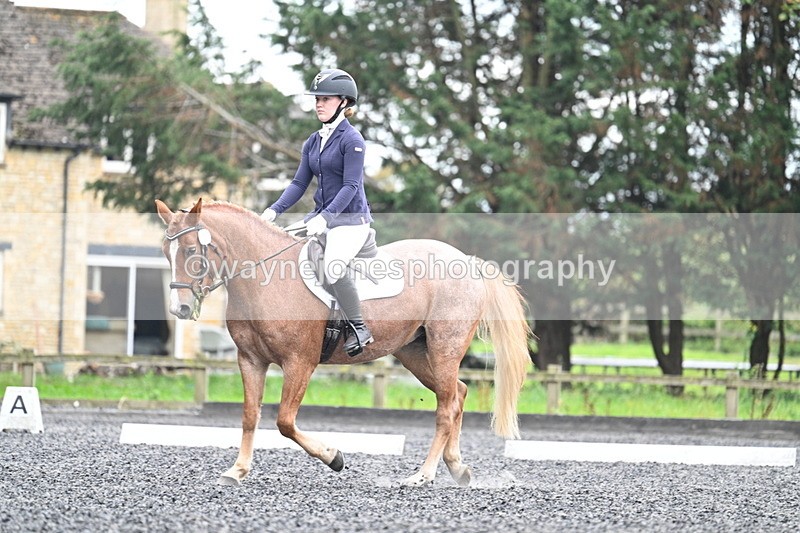 WJ7_3710 - Time 11:04 to 11:38