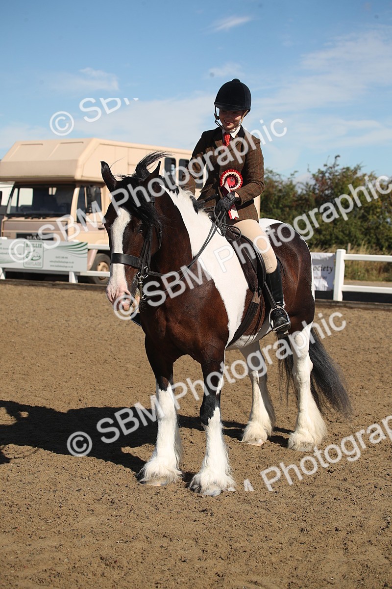 SBM_12777 - Class 504b - Junior Working Veteran - 40cm (20+)