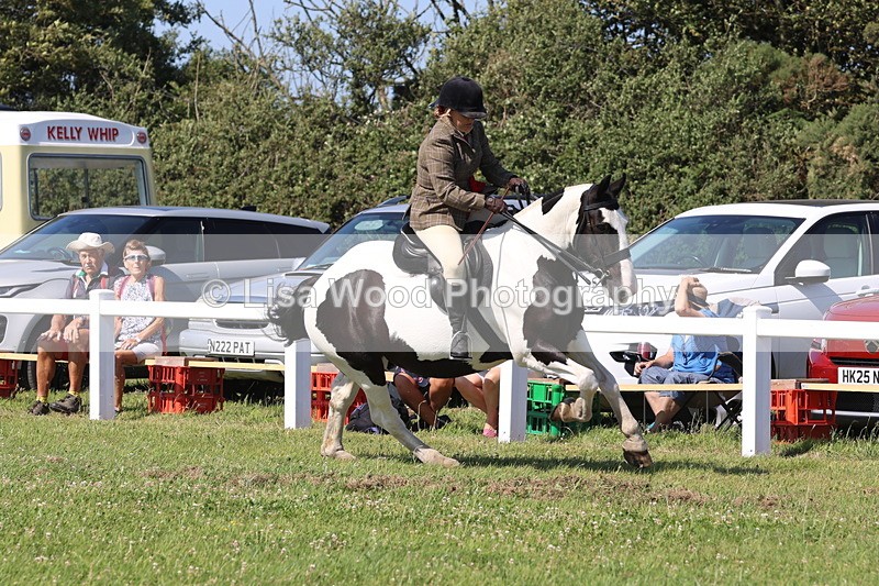 JPP_2073 - Cornish Combination Championship