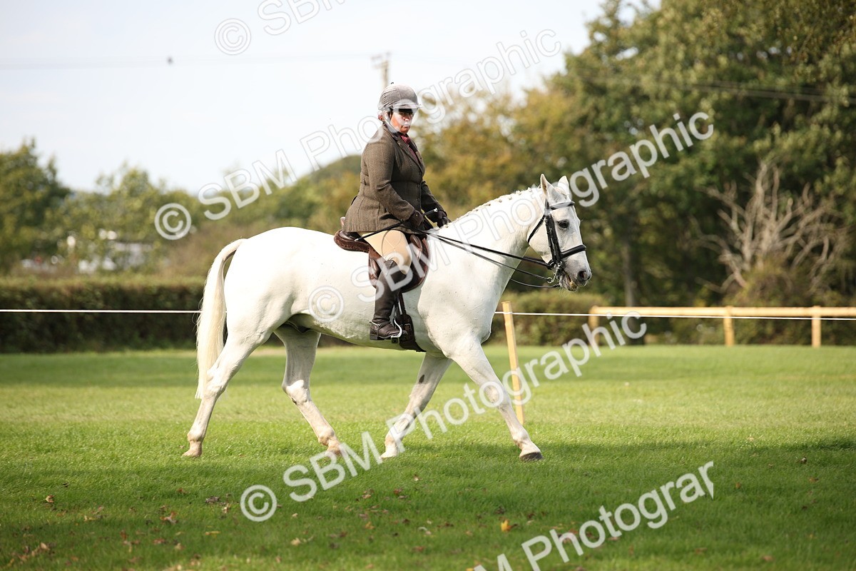 SBM_70360 - S66 - Hunter Ridden