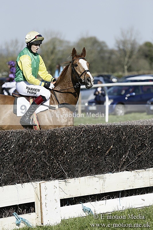 PtP 260317 176 - Mendip Farmers Point-to-Point Ston Easton 26/03/17