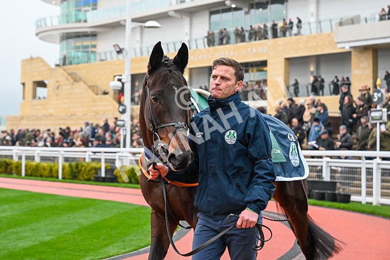 131224-Race 3-Media Naranja-9446