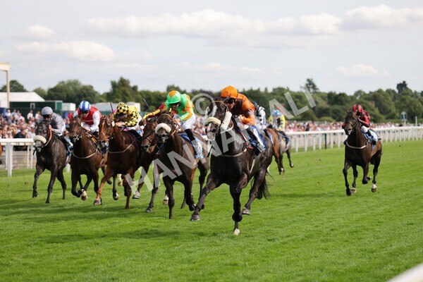 yr08072022r6-12 - Race 6 5.00pm Irish Thoroughbred Marketing Stakes