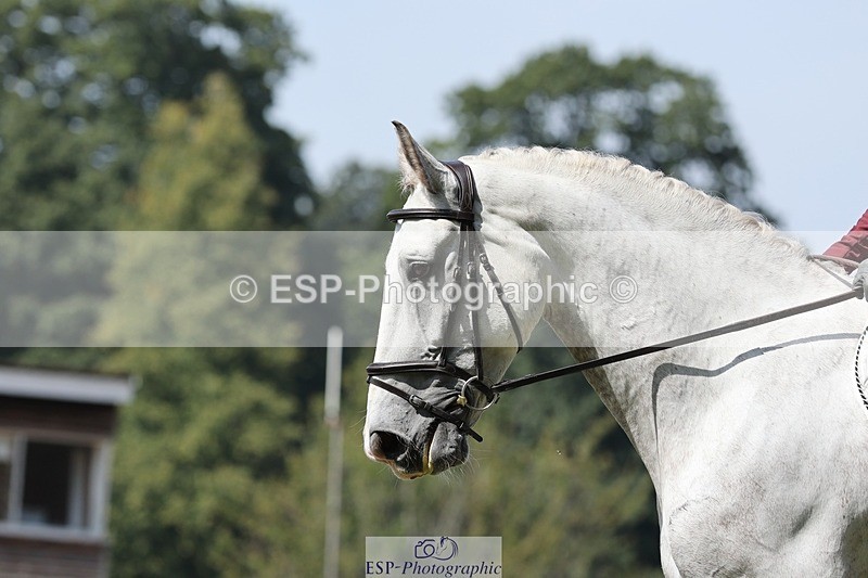 250823A-125915-29601 - Arena D