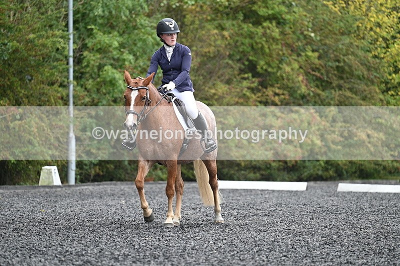 WJ7_3776 - Time 11:04 to 11:38