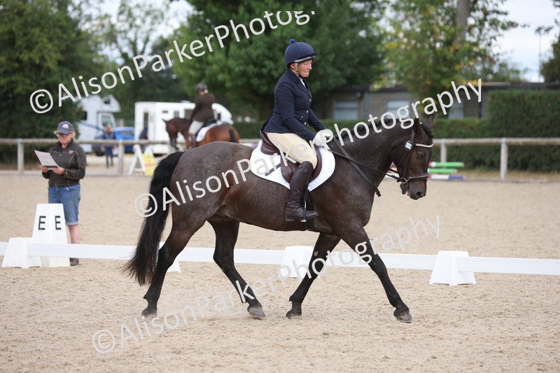 20250706-0291 - Class 15 - Novice 5