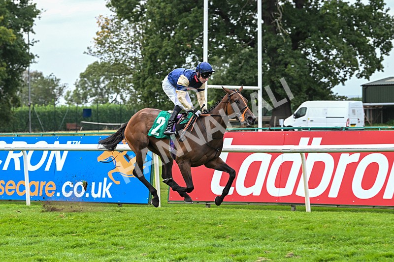 060925-Race 6-Bosphorus Rose-6027 - Race 6