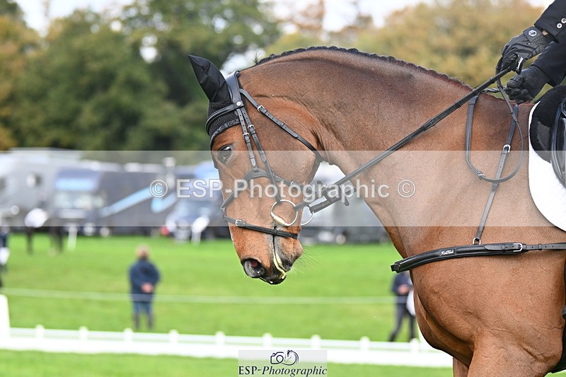 251023A-105238-02623 - G-510-Dan.Andrews