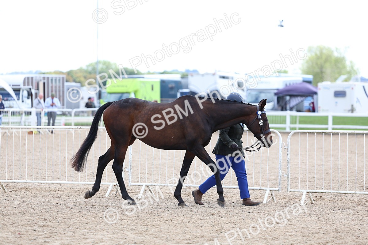 SBM_15245 - Class 313 - IH Retired Racehorse