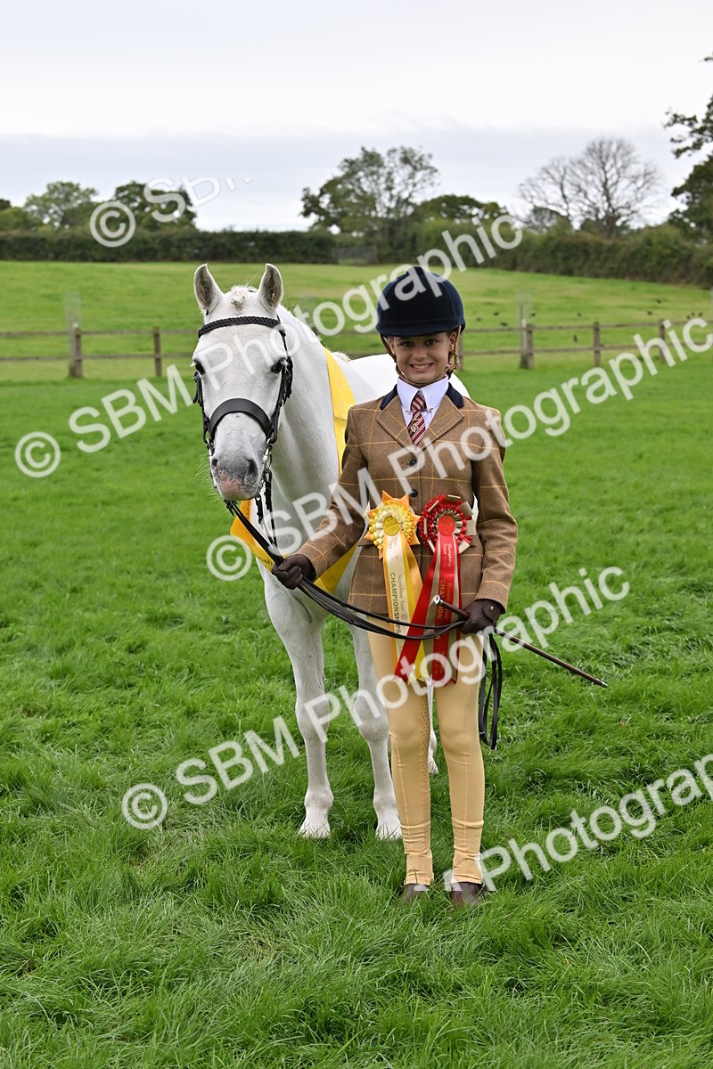 SBM_65055 - In Hand Pony & Younstock Supreme Championship